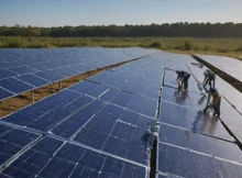 Jak wybrać profesjonalną firmę do czyszczenia farm fotowoltaicznych?